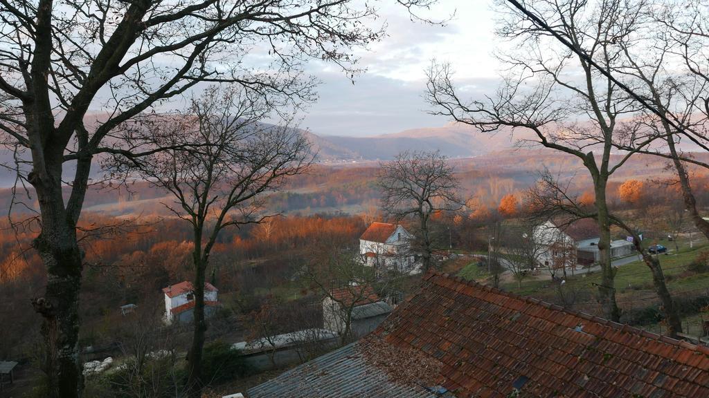 Apartments Cvitini Dvori Garjak Vrlika Exterior foto